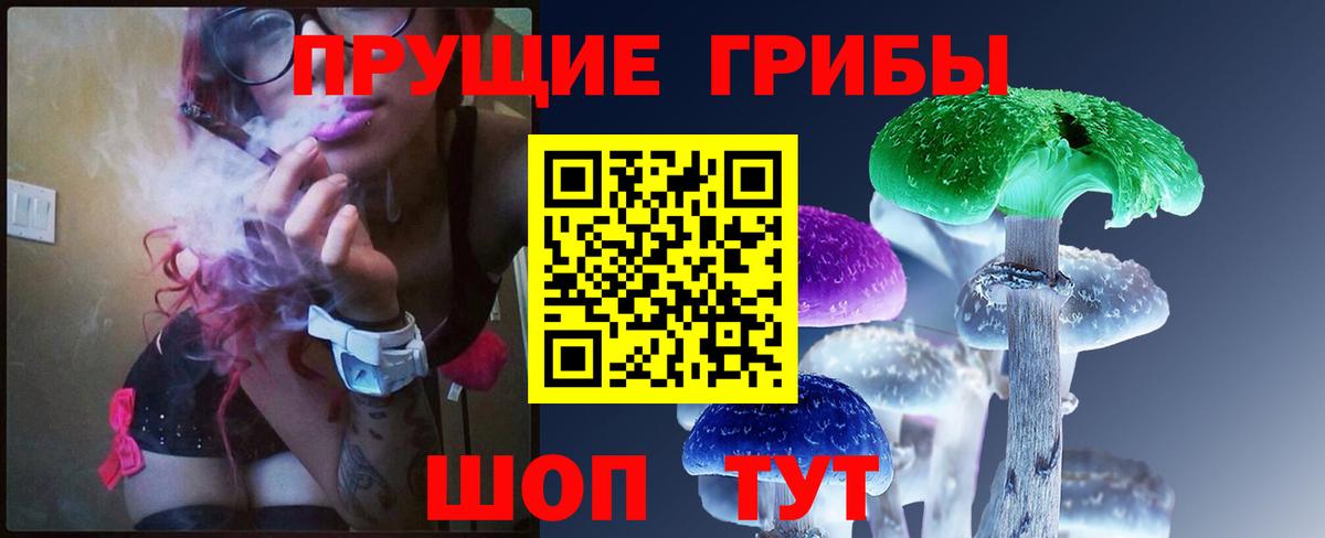Галлюциногенные грибы Psilocybe  Вход с VPN  Киселёвск 