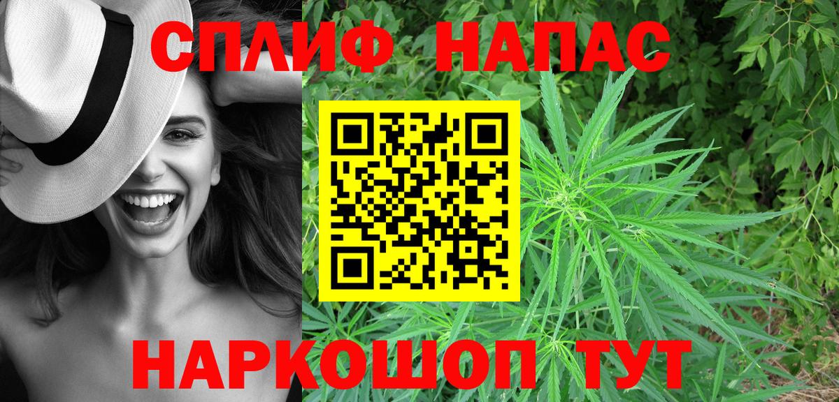 Канабис AK-47  Каннабис ГИДРОПОН  Шишки марихуана SATIVA & INDICA  Киселёвск  Вход с VPN 